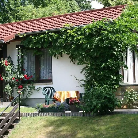 Holiday Kahl Near Centre *